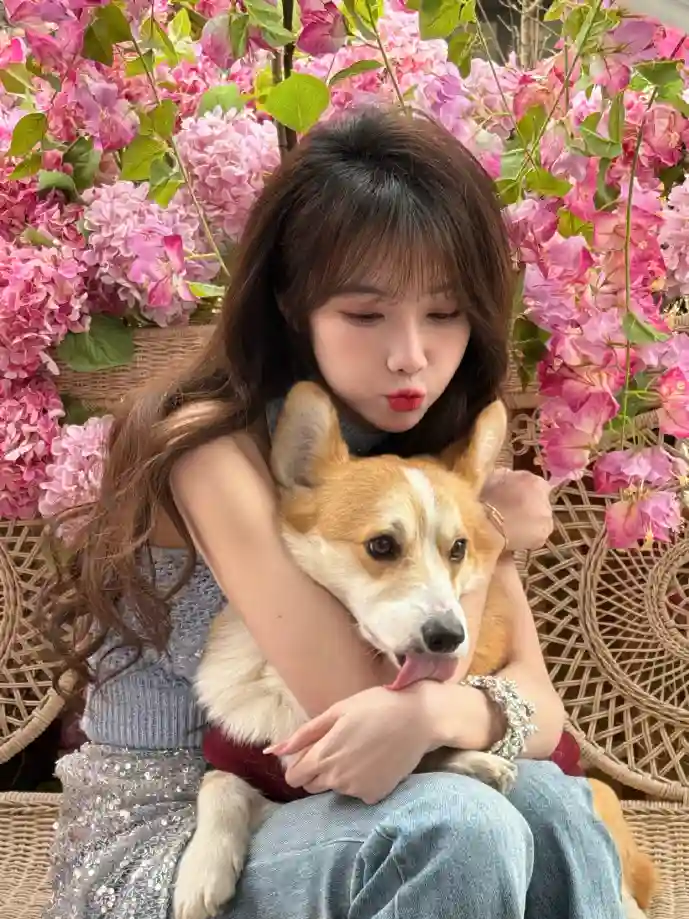 扫码行为数据分析图